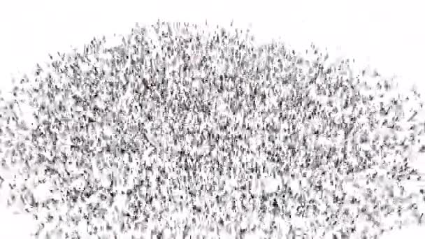 Crowd People Gather Form County Czech Republic Loop Frame — Stock video