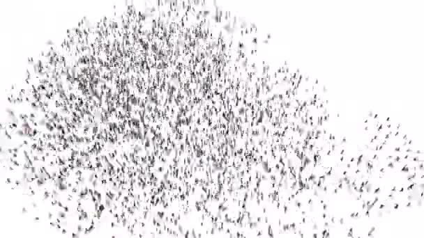 Crowd People Gather Form County Denmark Loop Frame — Stok video