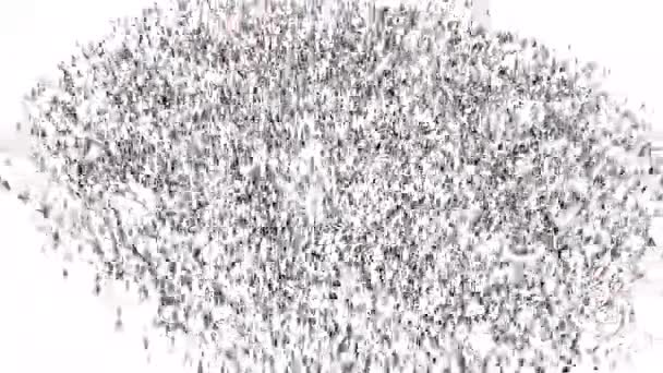 Crowd People Gather Form County Lithuania Loop Frame — Stock video