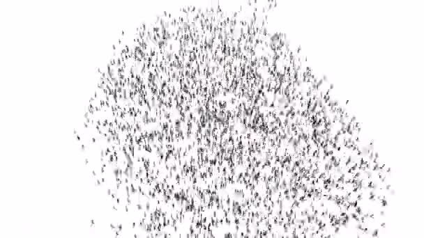 Crowd People Gather Form County Loop Frame — Vídeo de stock