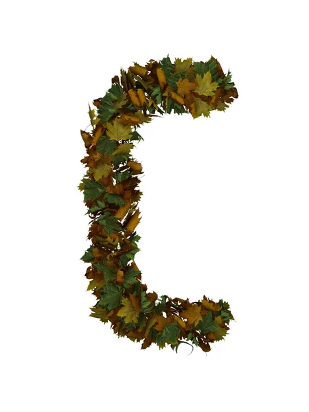 Tekst Gemaakt Van Autumn Leafe Typeface — Stockfoto