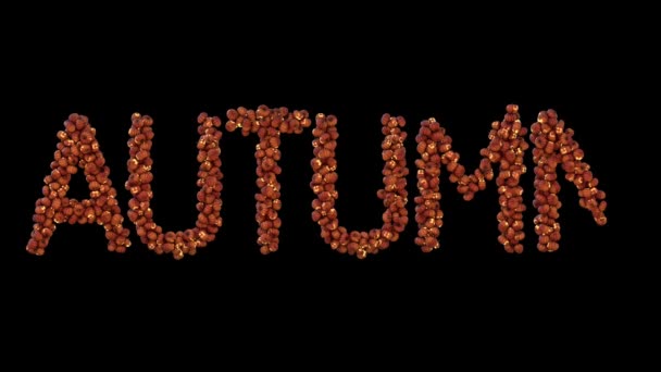 3Dアニメーションハロウィンランタン粒子書体の単語秋 — ストック動画