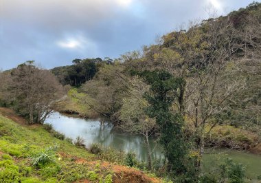 Dalat platosunda kiraz kayısı çiçeği mevsimi