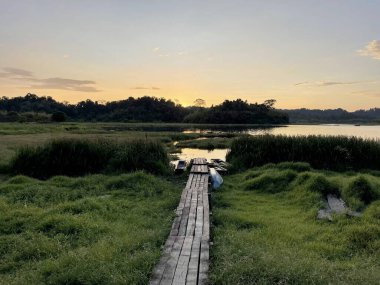 Binh Minh Yolu manzarası Nam Cat Tien ormanına giriyor.