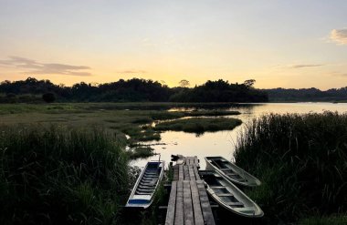 Binh Minh Yolu manzarası Nam Cat Tien ormanına giriyor.