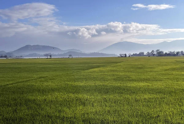 stock image Beautiful and peaceful scenery in the countryside of Vietnam