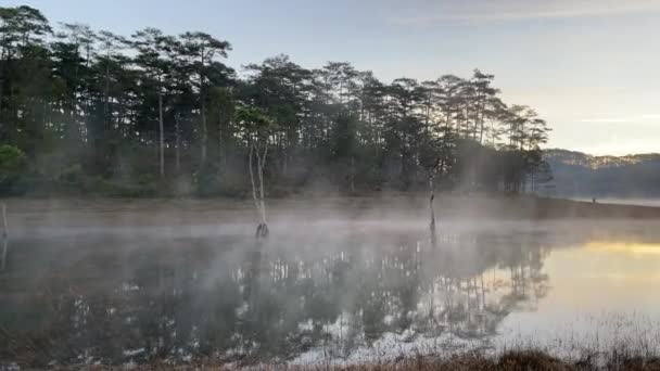 Brouillard Sur Ruisseau Violet Dalat — Video