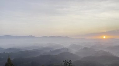 Bir sabah kâse tepesinde