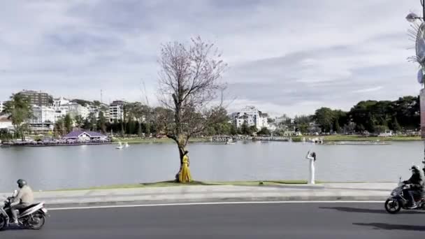 Short Tourist Cherry Blossom Apricot Blossom Dalat — Stock Video