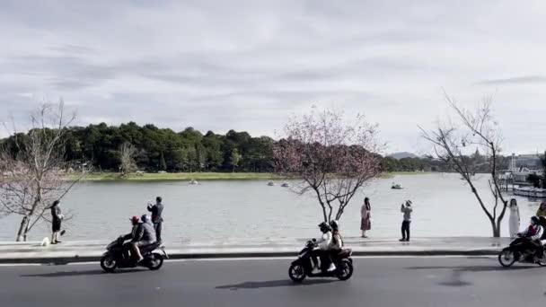 达拉特的短观光旅游樱花杏花 — 图库视频影像