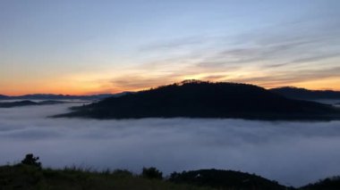 Dalat şehrinde kiraz çiçeği mevsimi