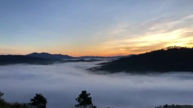 Dalat şehrinde kiraz çiçeği mevsimi