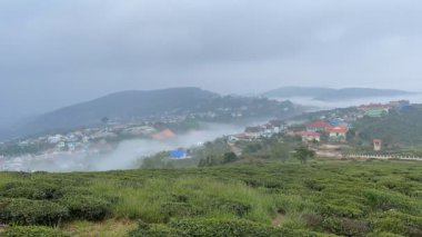 Cau Dat kasabasına sisli bir sabah geliyor.