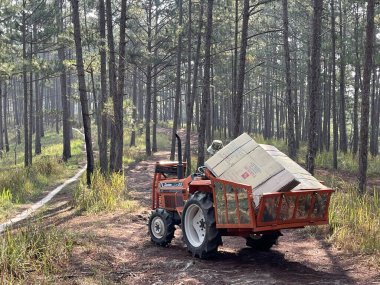 Güneşli bir yol Sabah çiğ tanesinde