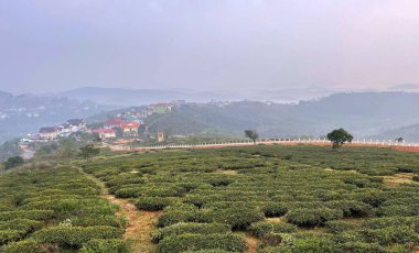 Köprü kasabasında çiy taneleri