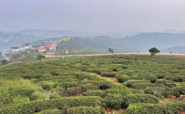 Köprü kasabasında çiy taneleri