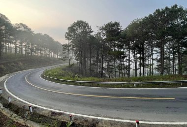 Yol çam ormanındaki sabah çiğ taneleriyle dolu.