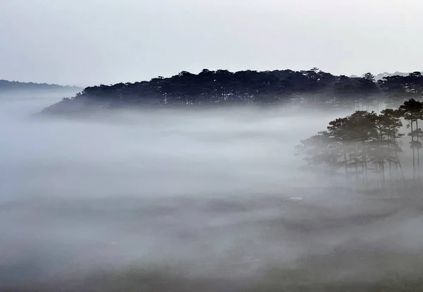 Uma Manhã Nublada Lado Estrada — Fotografia de Stock