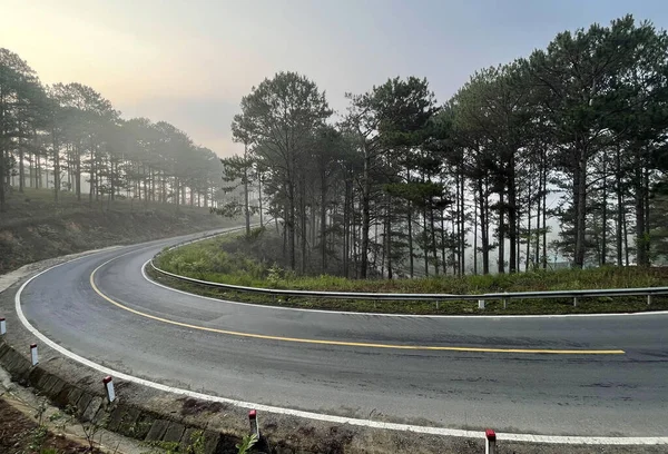 Yol çam ormanındaki sabah çiğ taneleriyle dolu.