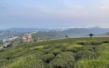 Bulutlar Cau Dat kasabasına geri döndü.