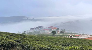 Bulutlar Cau Dat kasabasına geri döndü.