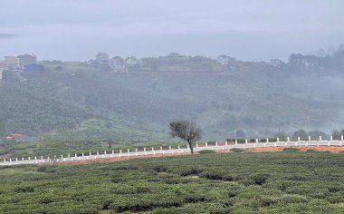 Bulutlar Cau Dat kasabasına geri döndü.