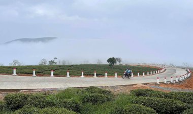 Bulutlar Cau Dat kasabasına geri döndü.