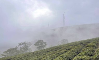 Bulutlar Cau Dat kasabasına geri döndü.