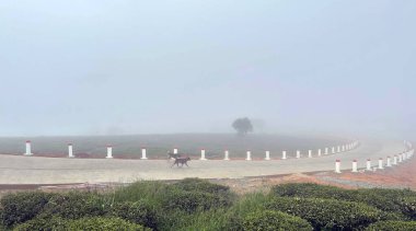 Bulutlar Cau Dat kasabasına geri döndü.