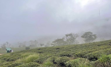 Bulutlar Cau Dat kasabasına geri döndü.