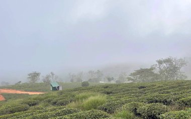 Bulutlar Cau Dat kasabasına geri döndü.
