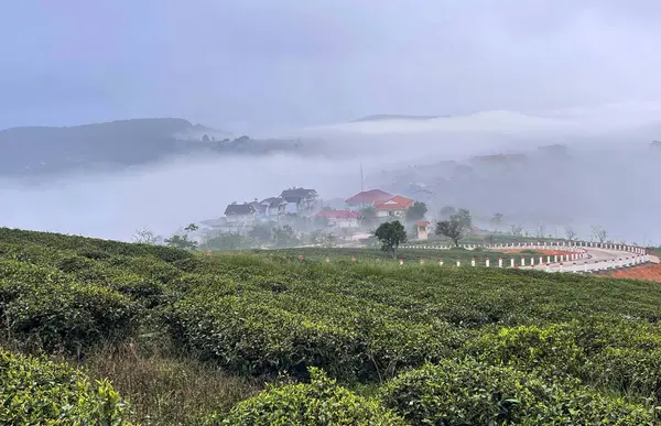 Bulutlar Cau Dat kasabasına geri döndü.