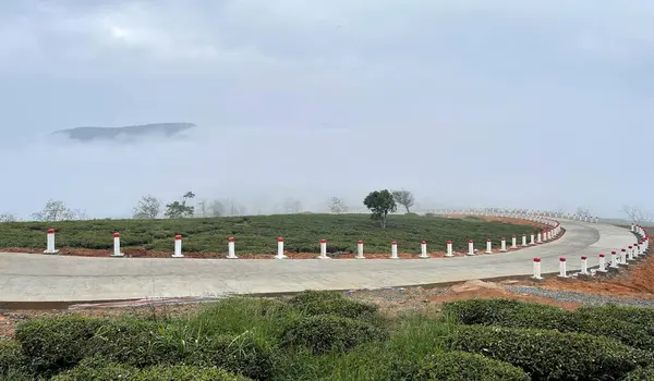 Bulutlar Cau Dat kasabasına geri döndü.