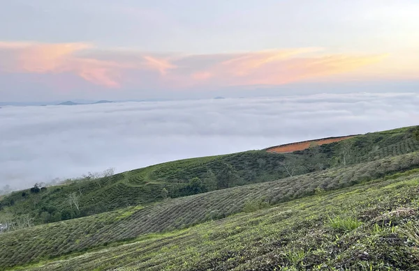 Cau Dat kasabası bulutları