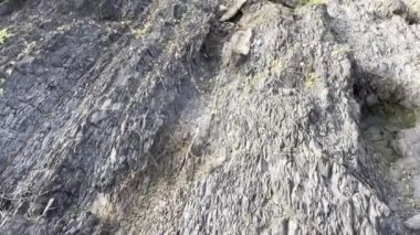 Ormandaki bir şelalenin yakın çekimi.