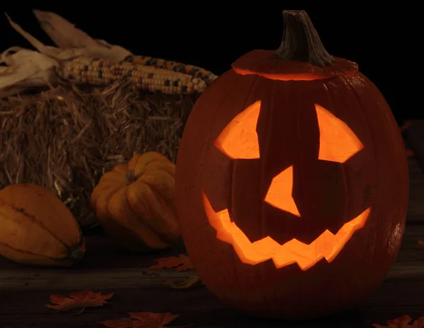 Smiling Pumpkin — Stock Photo, Image