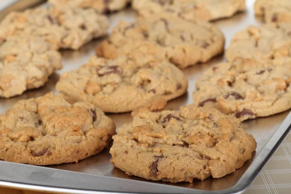 Koekjes bakken — Stockfoto