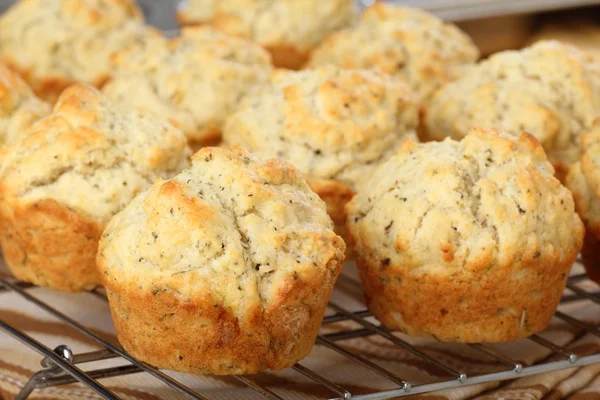 Muffins de hierbas Enfriamiento — Foto de Stock