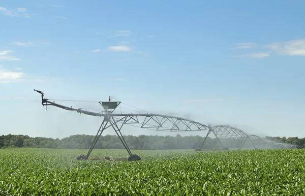 Watering Corn Crop — Stock Photo, Image