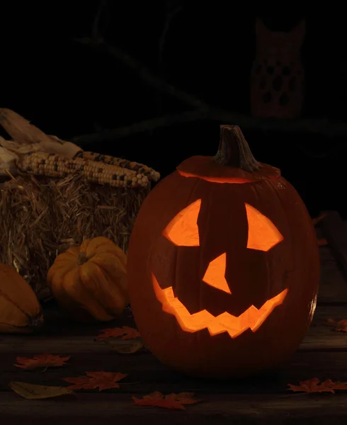 Smiling Jack-O-Lantern — Stock Photo, Image