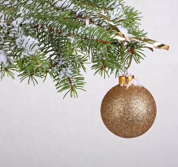 Noel topu Ağaçta asılı — Stok fotoğraf