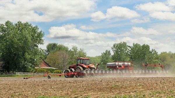 Vårens plantering — Stockfoto