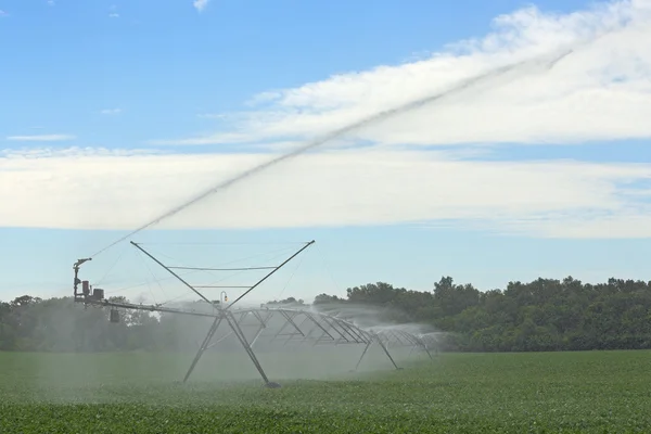 Irrigation agricole — Photo