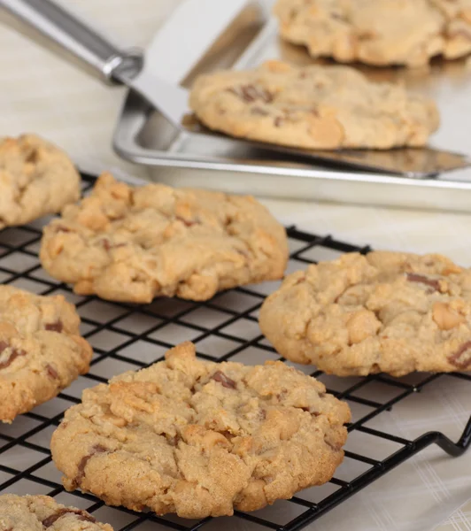 Peanut Butter Cookies Cooling — Stock Photo, Image