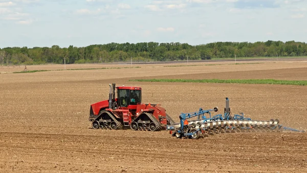 Beplanting corn — Stockfoto