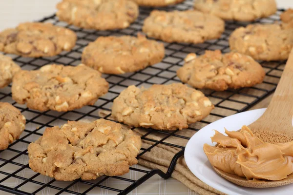 Cooling Peanut Butter Cookies — Stock Photo, Image