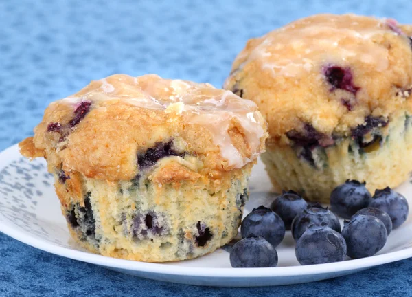 Bosbessenmuffins — Stockfoto