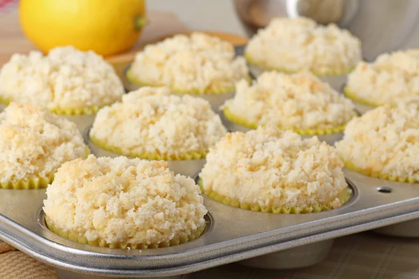 Muffins au citron Gros plan — Photo