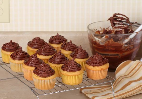 Dutzende Tassen Kuchen — Stockfoto