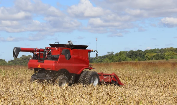 Harvesting Corn — Stock Photo, Image